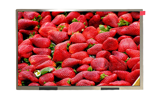 10英寸液晶顯示屏，找廠家更劃算【海飛智顯】-液晶屏廠家