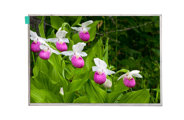 7寸lcd顯示屏 7寸lcd顯示屏