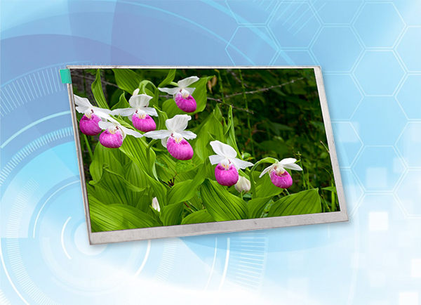 高清lcd顯示屏有哪些特點？價格貴不貴？