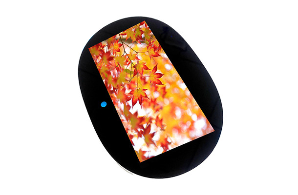 6寸LCD顯示屏 6寸LCD顯示屏