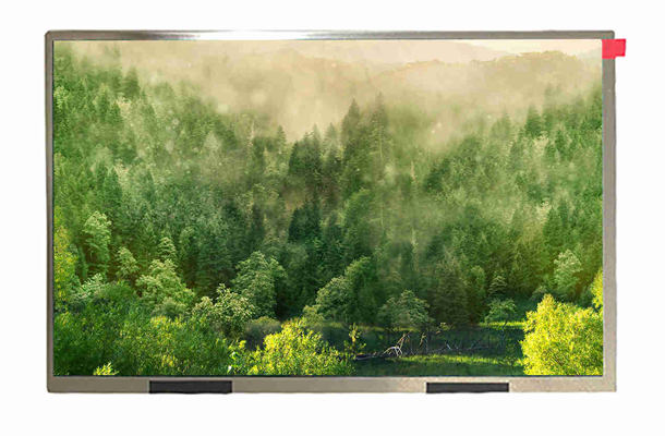 10.1寸LCD顯示屏 10.1寸LCD顯示屏