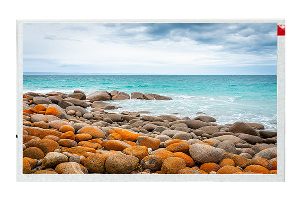 工業(yè)醫(yī)療屏 工業(yè)醫(yī)療屏