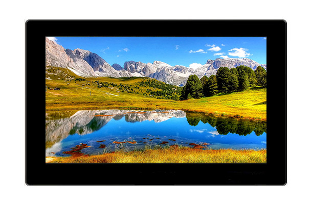 11.6寸顯示屏的技術(shù)特點、應(yīng)用領(lǐng)域、以及未來發(fā)展趨勢