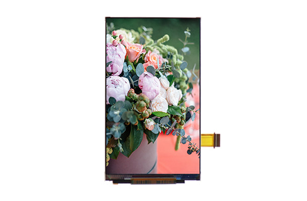 小尺寸，大視界——4.3寸480×800 TFT液晶屏的多領(lǐng)域創(chuàng)新應(yīng)用