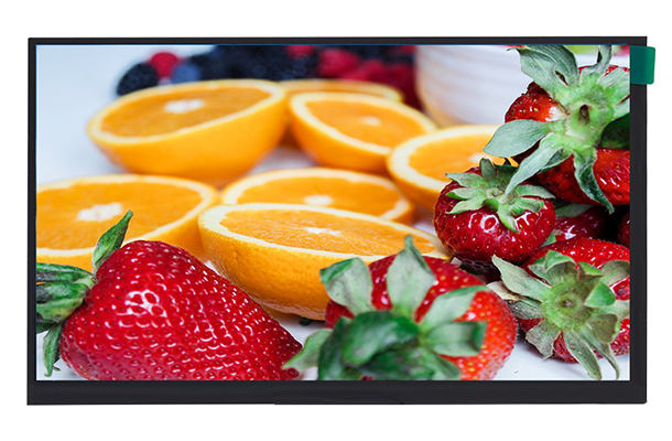 10寸觸摸屏總成 10寸觸摸屏總成