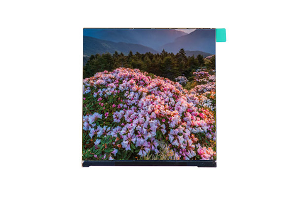 3.95寸480*480 IPS方屏：規(guī)格、性能與應(yīng)用領(lǐng)域詳解