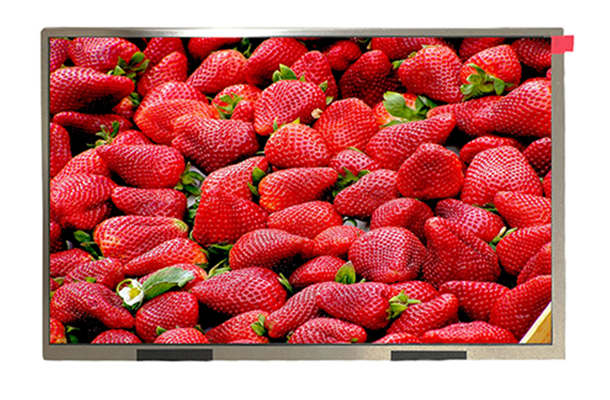 為何10.1寸1280*800屏成市場寵兒？解析其高性價比與全能表現(xiàn)